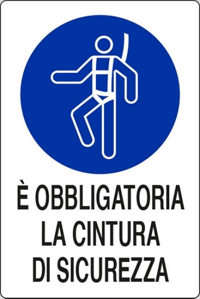 E' obbligatoria la cintura di sicurezza