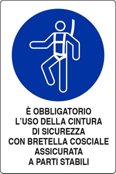 E' obbligatorio l'uso della cintura di sicurezza con bretella cosciale assicurata a parti stabili