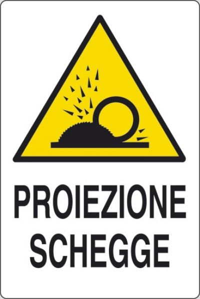 Proiezione schegge